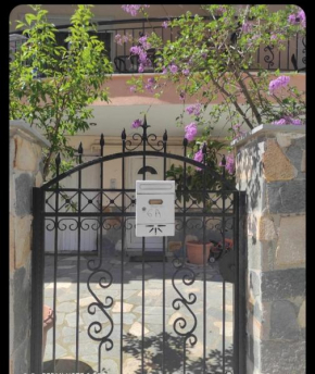 Butterfly Studio